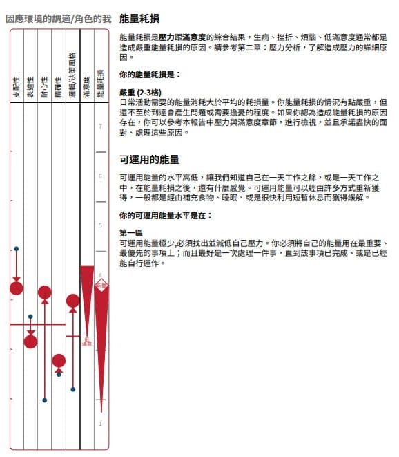 PDP 測驗角色的我